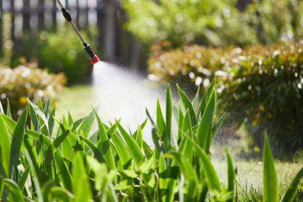 24/7 Emergency Ant Control experts in Monmouth, IL