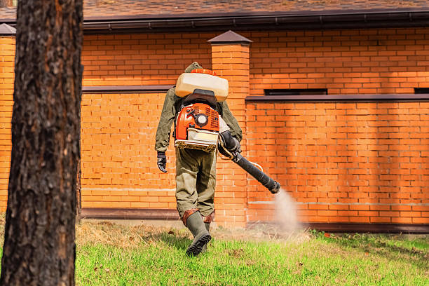 Trusted Termite Control service in Monmouth, IL - Nex Pest Control